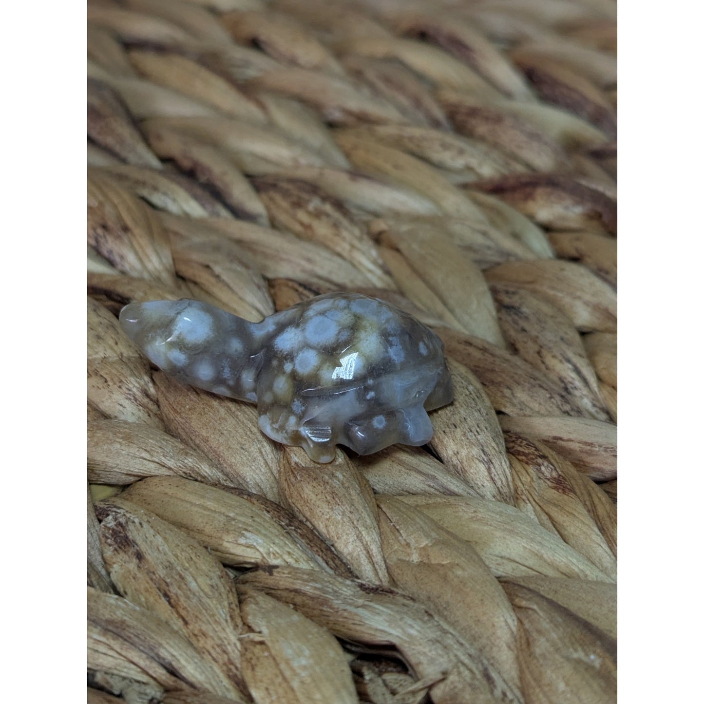 Flower Agate Sea Turtle Crystal Witch Mini Witchy Familiar Quartz Chalcedony