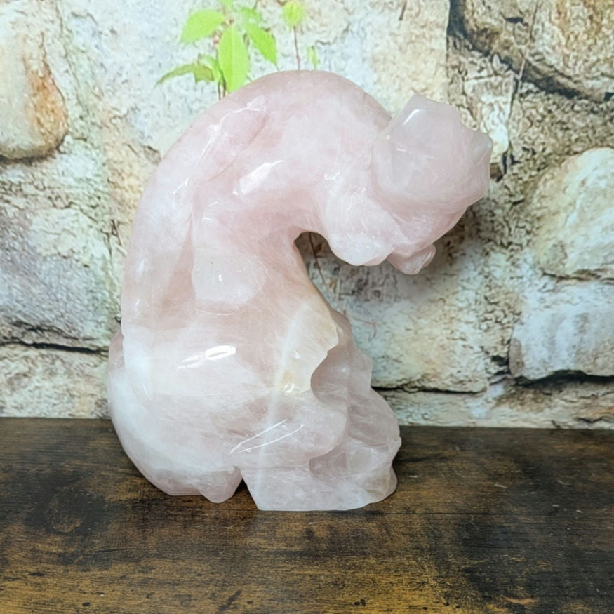 Statement Piece Dinosaur on Skull Rose Quartz crystal carving decoration witchy