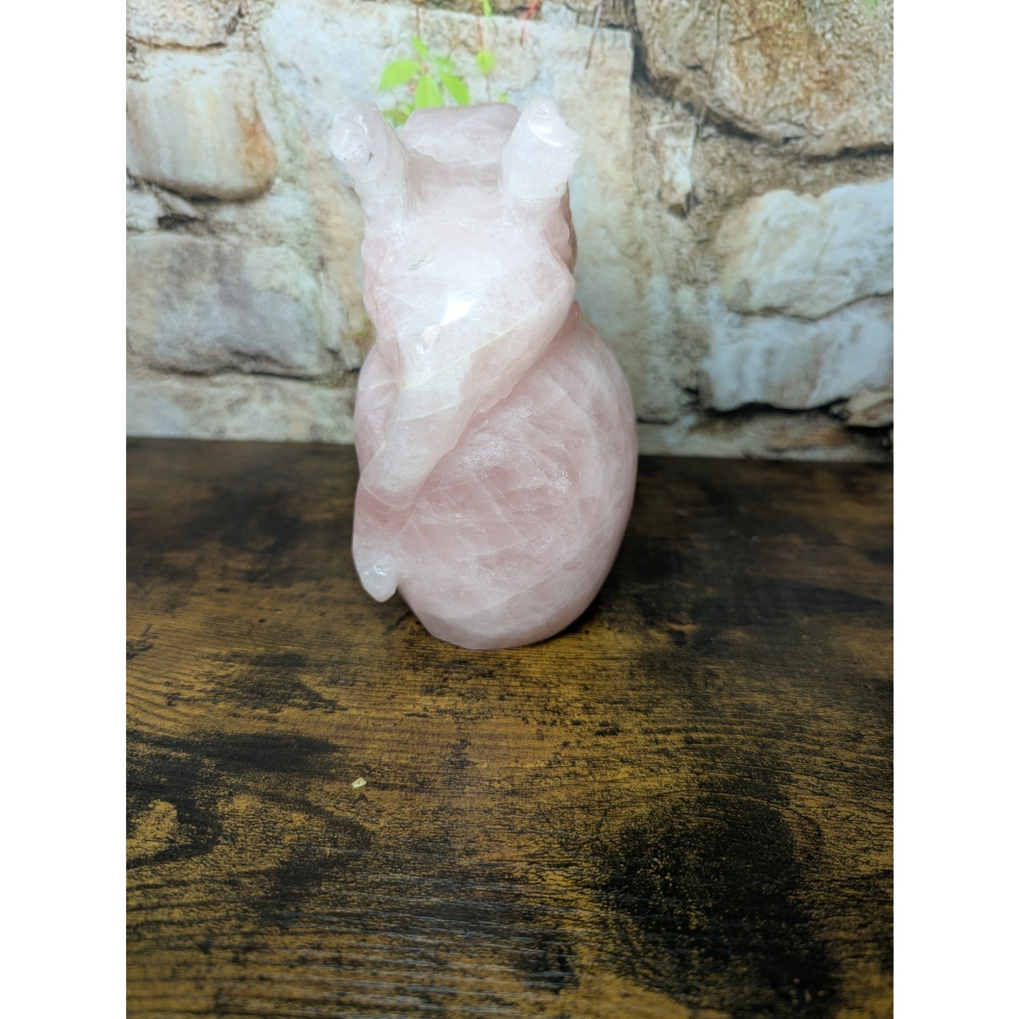 Statement Sized Gargoyle on Skull Rose Quartz crystal carving decoration witch